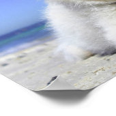 Beach Puppy Dog Fluffy White Animal Summer Fotogr Poster (Ecke)