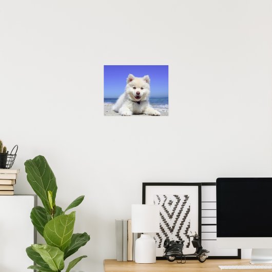 Beach Puppy Dog Fluffy White Animal Summer Fotogr Poster (Heimbüro)