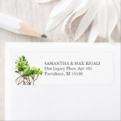 Beach Rücksendeadressen-Aufklebers Mangroves (Insitu)