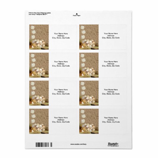 Beach Sand Clams Labels (Vorne)