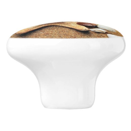 Beach Sand Muscheln Zeichne Knobs Keramik Pull Keramikknauf (Seitenansicht)