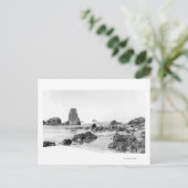 Beach Scene at Cannon Beach, Oregon Fotografie Postkarte (Stehend Vorderseite)