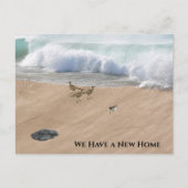 Beach Scene Change of Address Postkarte (Vorderseite)