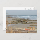 Beach Scene Nova Scotia Rissers Southshore Postkarte (Vorne/Hinten)