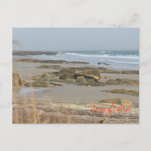 Beach Scene Nova Scotia Rissers Southshore Postkarte (Vorderseite)