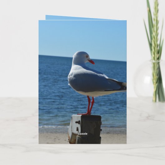 Beach Sea Gull, Geburtskarte Karte (Rückseite)