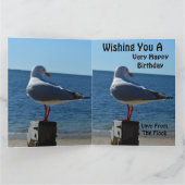 Beach Sea Gull, Jumbo Birthday Card Karte (Innenseite)