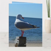 Beach Sea Gull, Jumbo Birthday Card Karte (Rückseite)