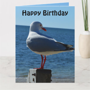 Beach Sea Gull, Jumbo Birthday Card Karte