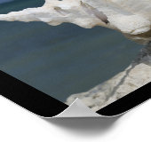 Beach Sea Muschel Inspiration Poster (Ecke)