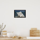 Beach Sea Muschel Inspiration Poster (Küche)