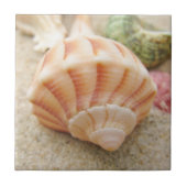Beach Seashell Foto Fliese (Vorderseite)