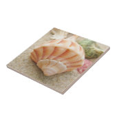 Beach Seashell Foto Fliese (Seite)