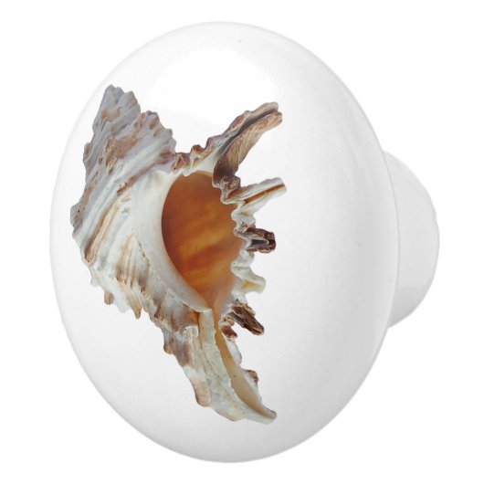Beach Seashell Ocean Muschel Keramikknauf (Rechts)