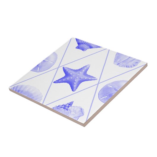 Beach Seashell Pattern Fliese (Seite)