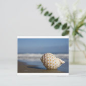 Beach Seashell Postkarte (Stehend Vorderseite)