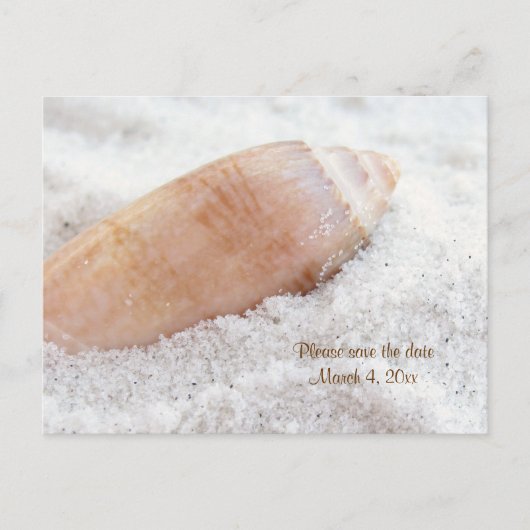 Beach Seashell Save the Date Hochzeit Postkarte (Vorderseite)