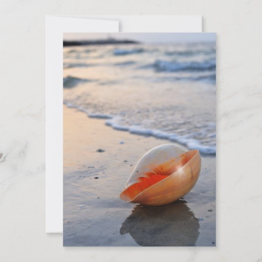 Beach Seashell String Lights Save the Date (Rückseite)