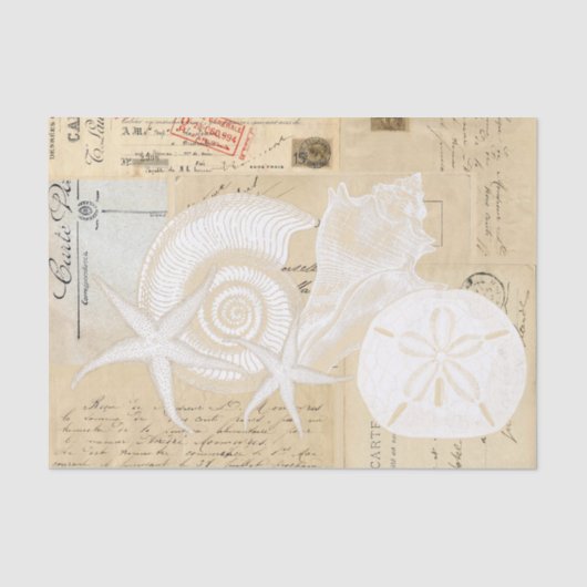 Beach Seashells Cream Französisches Postkartenpapi Seidenpapier (Vorderseite)