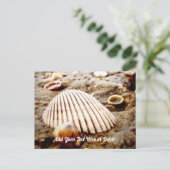 Beach Seashells in Krabi Thailand, Postcard Postkarte (Stehend Vorderseite)