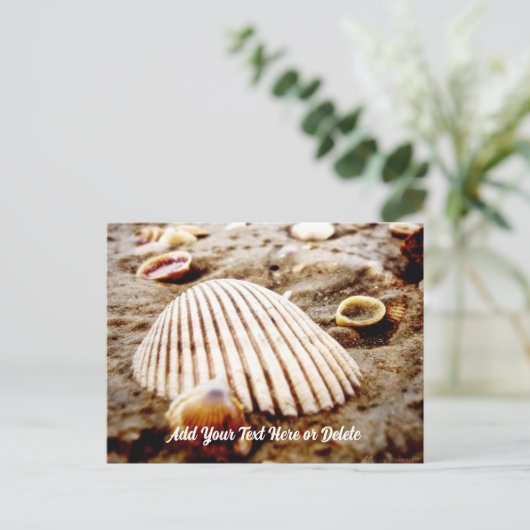 Beach Seashells in Krabi Thailand, Postcard Postkarte (Stehend Vorderseite)