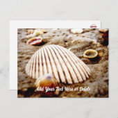 Beach Seashells in Krabi Thailand, Postcard Postkarte (Vorne/Hinten)