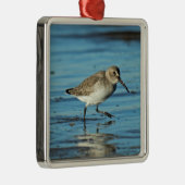Beach Shorebirds Szene - Dunlin Ornament Aus Metall (Rechts)