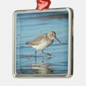 Beach Shorebirds Szene - Dunlin Ornament Aus Metall (Links)