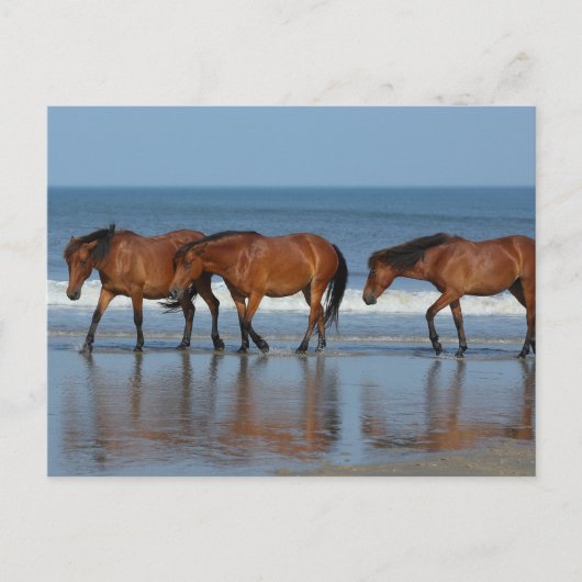 Beach Sisters Postkarte (Vorderseite)