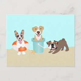 Beach Summer Dogs Blue Orange Postkarte