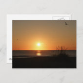 Beach Sunrise Postkarte (Vorne/Hinten)