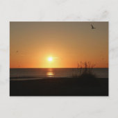 Beach Sunrise Postkarte (Vorderseite)