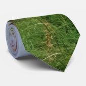 Beach Sunset Neck Tie Krawatte (Gerollt)