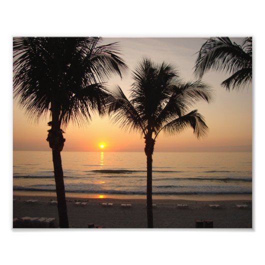 Beach Sunset Ocean Palm Tree Fotografy Art Printin Fotodruck (Vorne)
