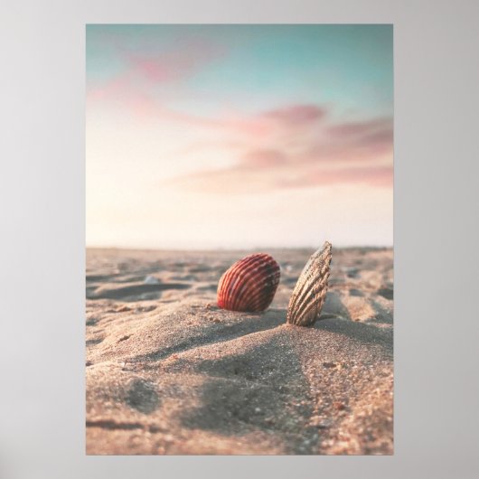 Beach Sunset Sea Muschel Beach Fotoposter Poster (Vorne)