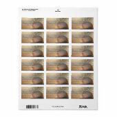 Beach Sunset Seashell Adressaufkleber (Vorne)