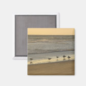 Beach Terns Birds Sunrise Ocean Fotografy Magnet (Vorderseite/Rückseite)