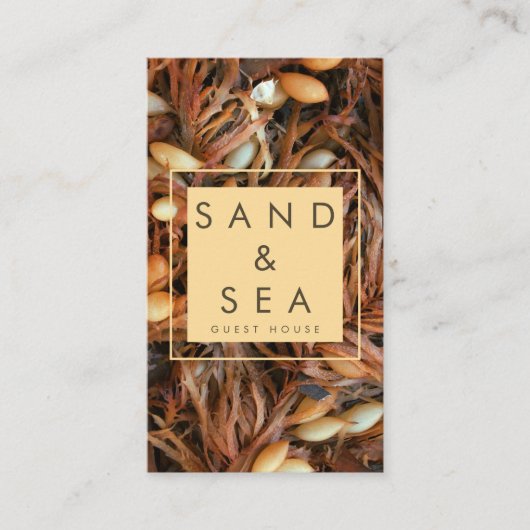 Beach Theme Guest House Business Card Visitenkarte (Vorderseite)