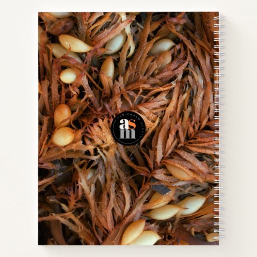 Beach Theme Guest House Notizblock (Rückseite)