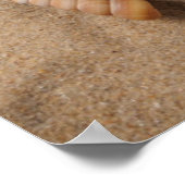 Beach Toys Poster (Ecke)