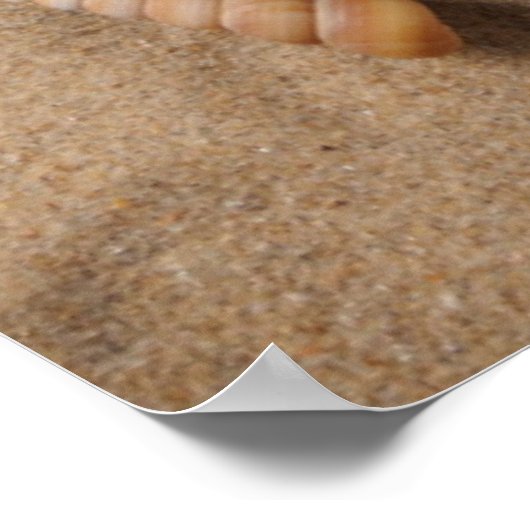 Beach Toys Poster (Ecke)