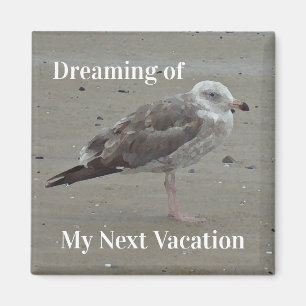 Beach Travel Painted Gray Seagull Küstenvogel Magnet