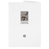 Beach Treasures Card (Hinten)