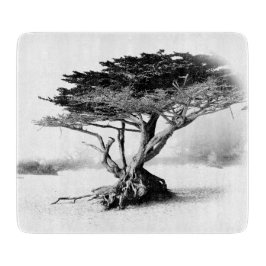 BEACH TREE Glas Cutting Board Schneidebrett