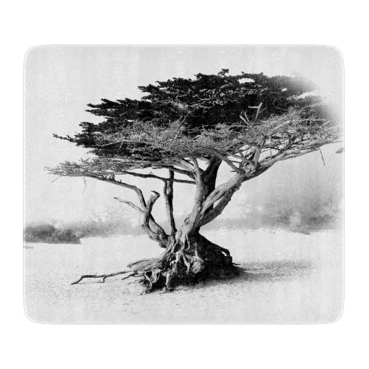BEACH TREE Glas Cutting Board Schneidebrett (Vorderseite)