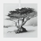 BEACH TREE Glasdekoration Ornament Aus Glas (Vorderseite)