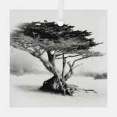 BEACH TREE Glasdekoration Ornament Aus Glas (Rückseite)