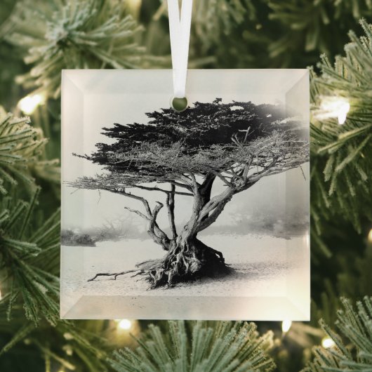 BEACH TREE Glasdekoration Ornament Aus Glas (Insitu)