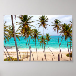 Beach Tropical with Palm Trees Poster
