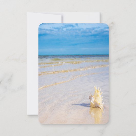Beach Waves Seashell Empfang Einladung (Rückseite)